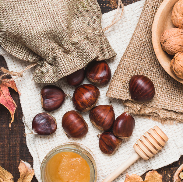 Chataigner-Maison Dosnon-photos web6