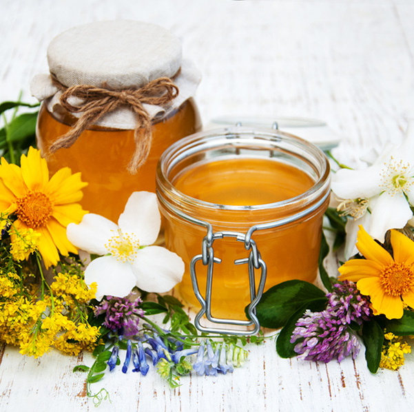 FleurEte-Maison Dosnon-photos web9