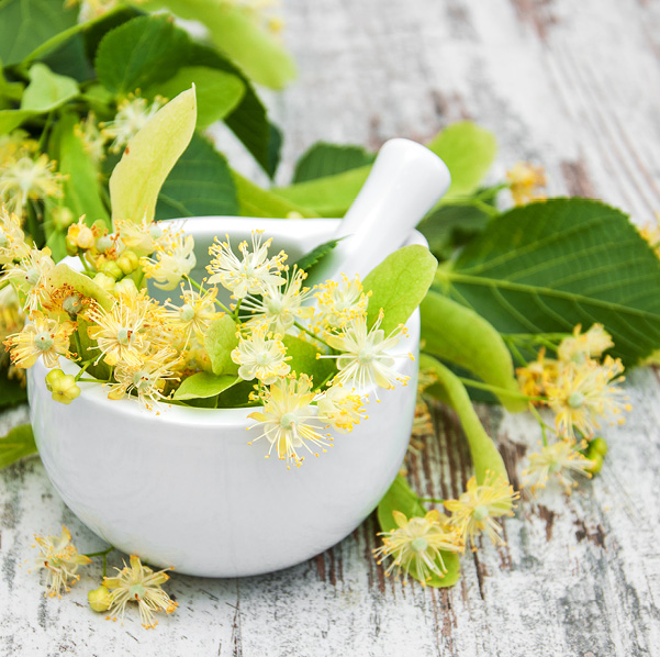 Tilleul-Maison Dosnon-photos web19