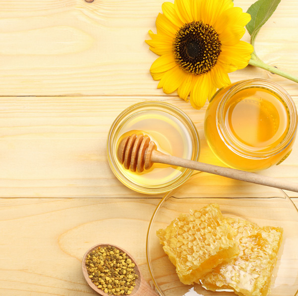 Tournesol-Maison Dosnon-photos web22