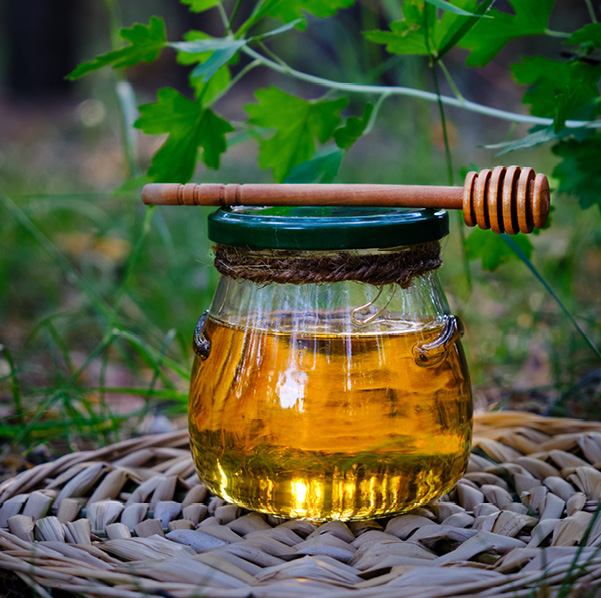 Foret-Maison Dosnon-photos web12